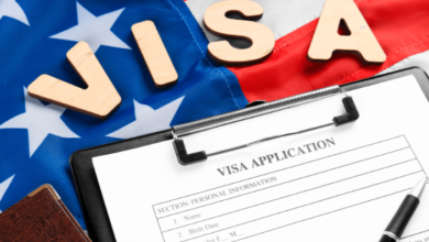 Understanding the Immigration Process: A Comprehensive Guide for 2024