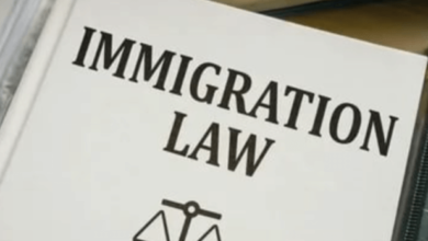 Navigating Immigration Laws: Tips for a Successful Application