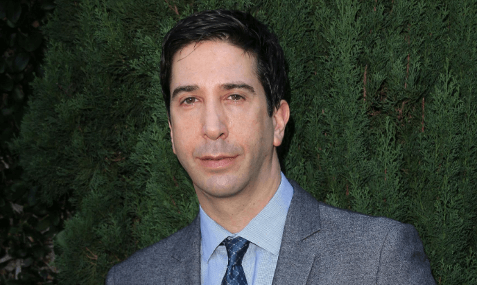 Net Worth David Schwimmer