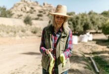 blind frog ranch lawsuit details