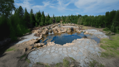 Swimming Pond