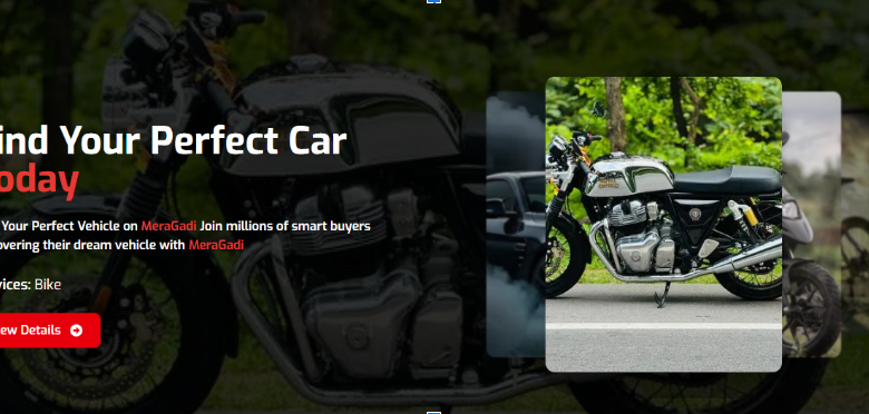 Bike – Combining Efficiency, Freedom, and Health