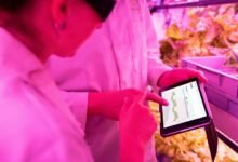 digital growth tools available