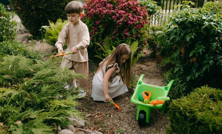 enhance your digital skills