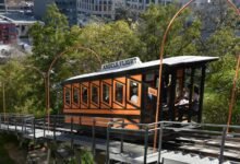 online marketing platform elevation