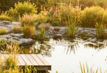 How to Read a Barrel Sauna Warranty Before You Buy