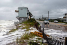 Newcomers Meet Gulf Coast Humidity Through Their First Fence