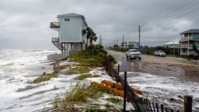 Newcomers Meet Gulf Coast Humidity Through Their First Fence